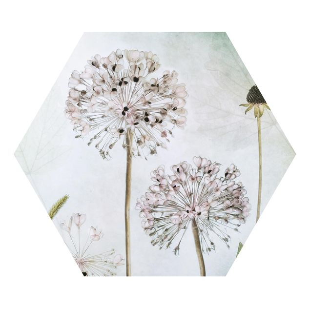 Hexagon Bild Forex - Lauchblüten in Pastell