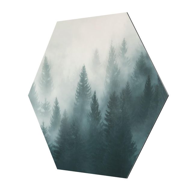Hexagon Bild Alu-Dibond - Nadelwald im Nebel
