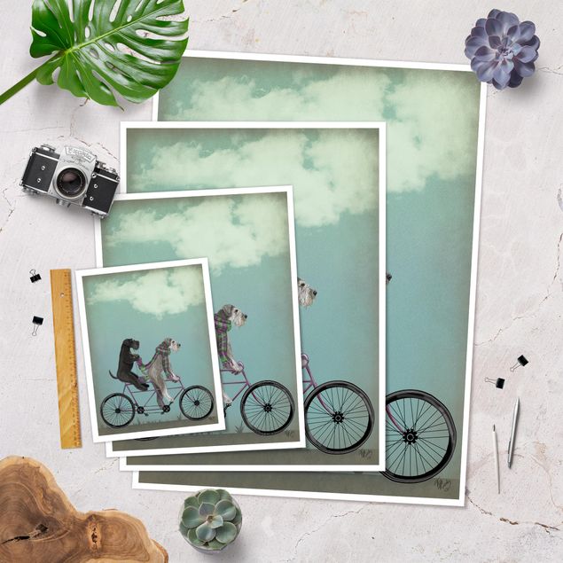Poster bestellen Radtour - Schnauzer Tandem