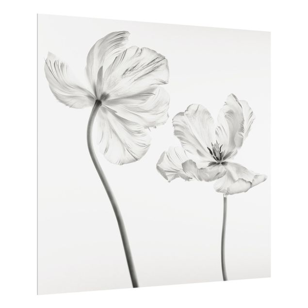 Spritzschutz Landhausstil Zwei zarte weiße Tulpen