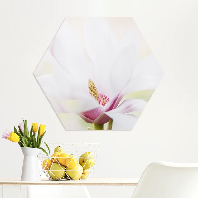 Bilder für die Wand Zarte Magnolienblüte