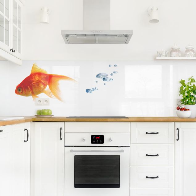 Küchenrückwände selbstklebend Goldfisch