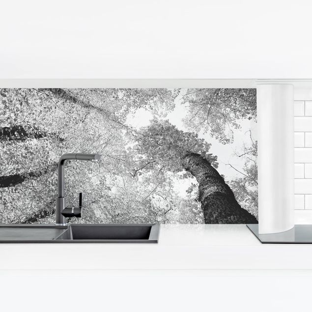 Küchenrückwand Folie Schwarz-Weiß Bäume des Lebens II