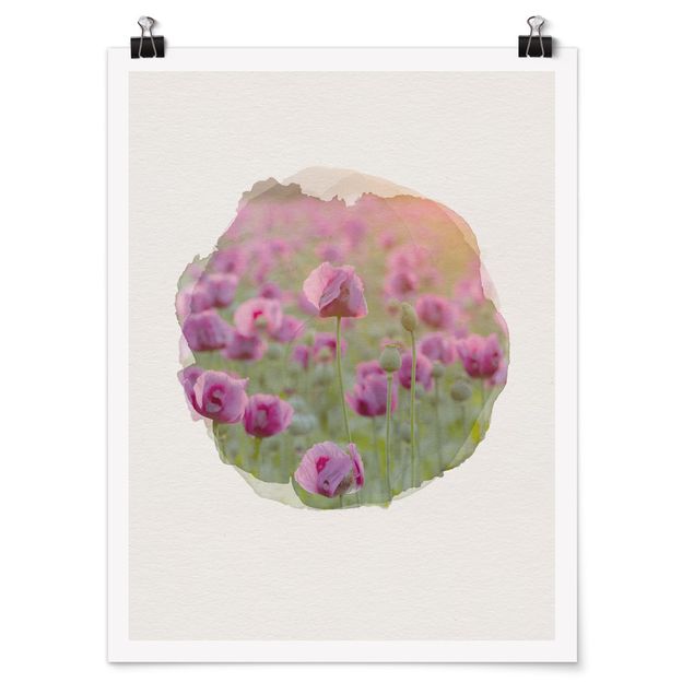 Poster Wasserfarben - Violette Schlafmohn Blumenwiese im Frühling