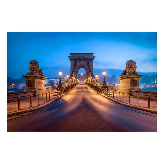 Magnettafel - Kettenbrücke in Budapest bei Nacht - Hochformat 3:2
