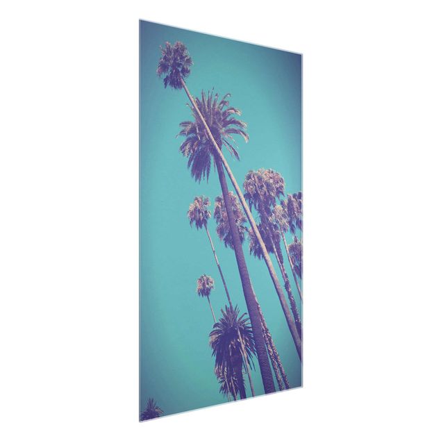 Schöne Wandbilder Tropische Pflanzen Palmen und Himmel
