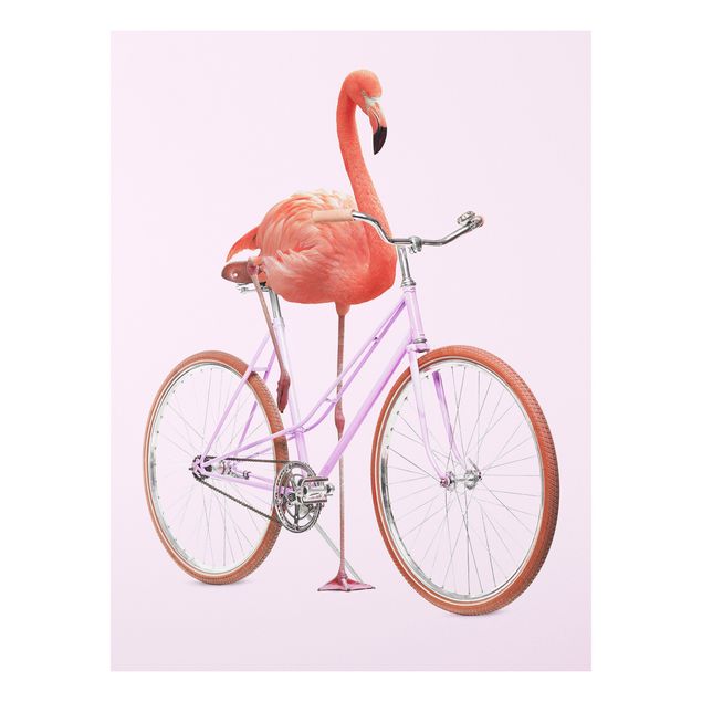 Forex Bilder Flamingo mit Fahrrad