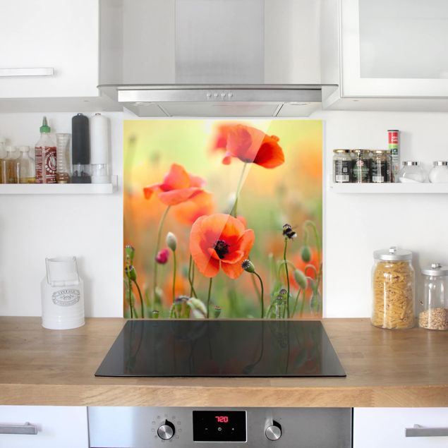 Küchenrückwand Glas Blumen Roter Sommermohn