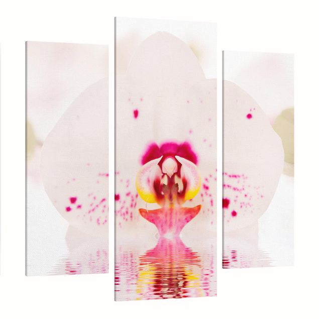 Moderne Leinwandbilder Wohnzimmer Gepunktete Orchidee auf Wasser