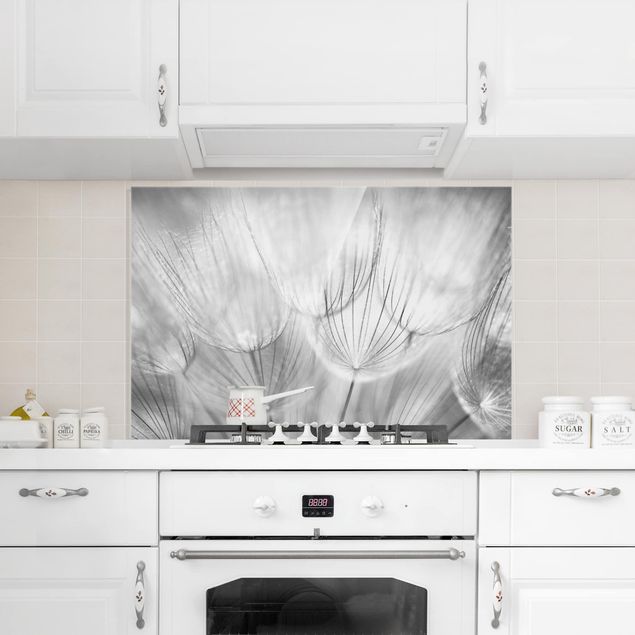 Küchenrückwand Glas Blumen Pusteblumen Makroaufnahme in schwarz weiß