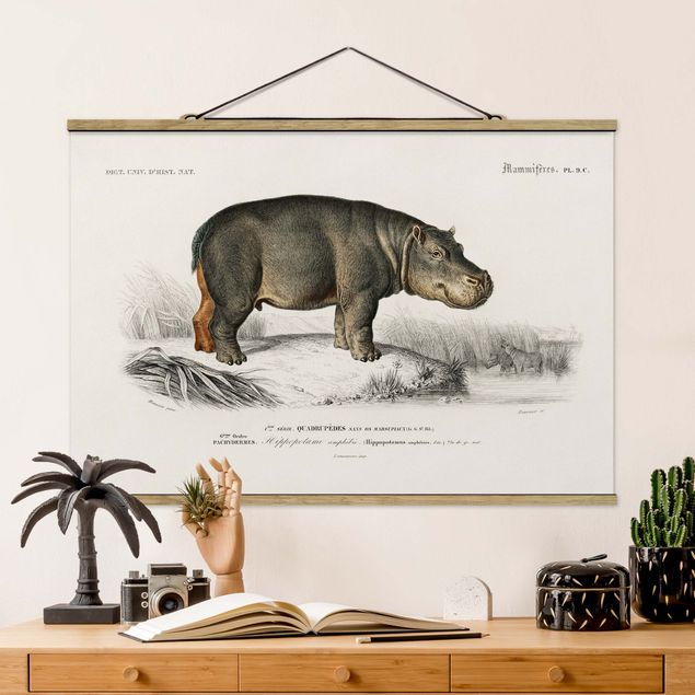 Wandbilder Tiere Vintage Lehrtafel Nilpferd