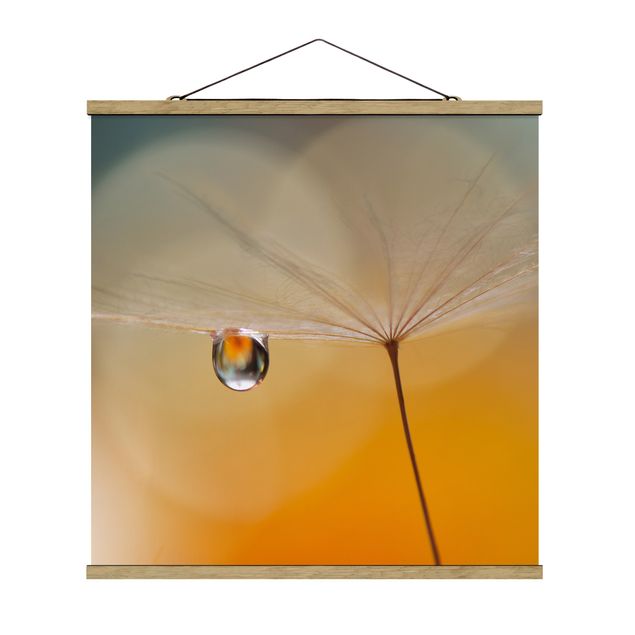 Stoffbild mit Posterleisten - Pusteblume in Orange - Quadrat 1:1