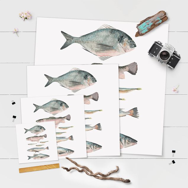 Poster - Sieben Fische in Aquarell II - Quadrat 1:1