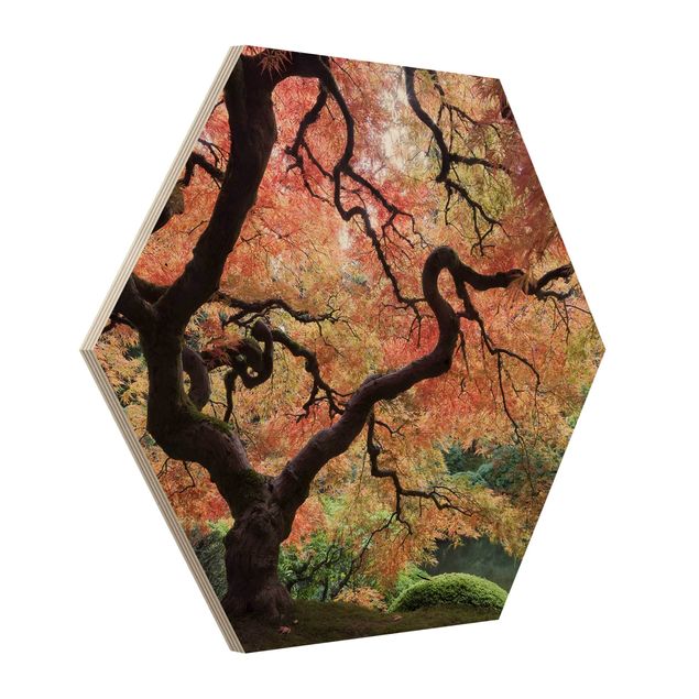Hexagon Bild Holz - Japanischer Garten
