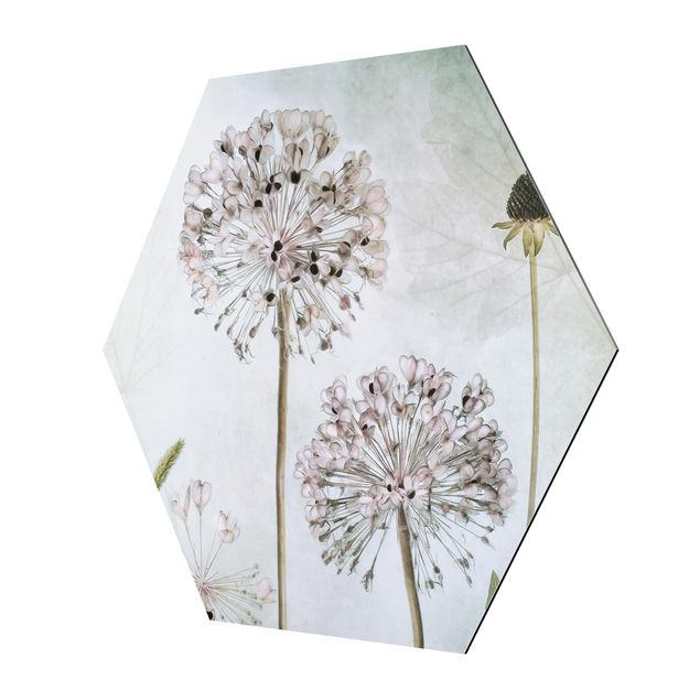 Hexagon Bild Alu-Dibond - Lauchblüten in Pastell