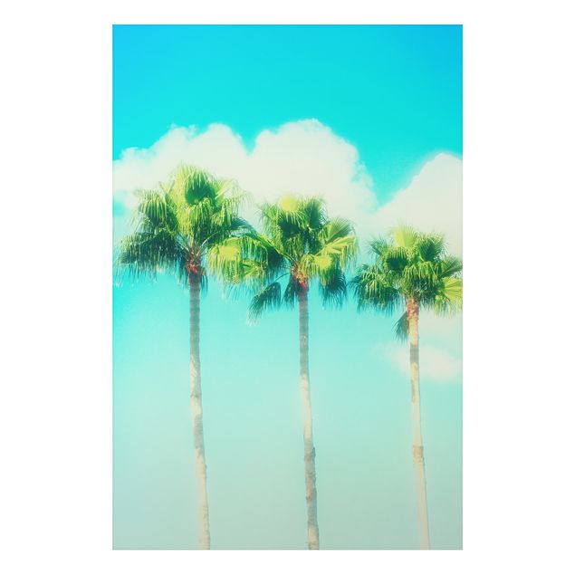 Foto auf Alu Dibond Palmen vor Himmel Blau