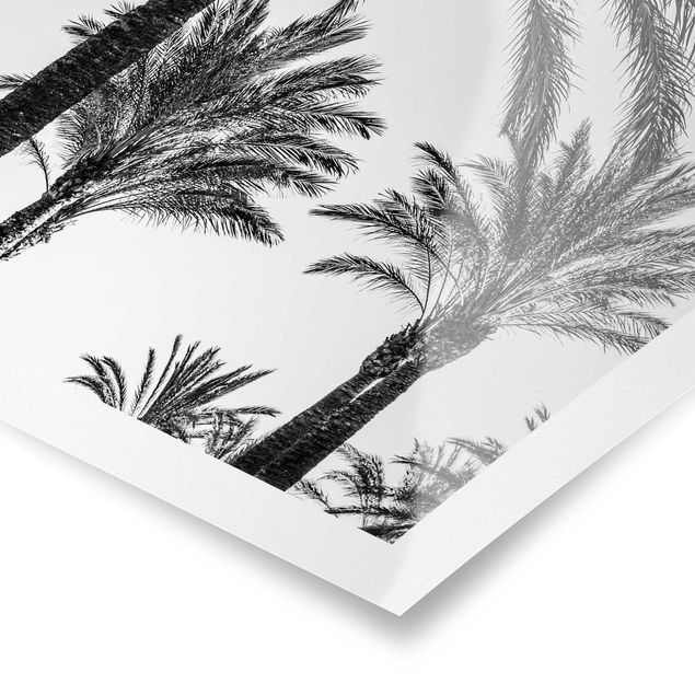 Poster - Palmen im Sonnenuntergang Schwarz-Weiß - Hochformat 4:3
