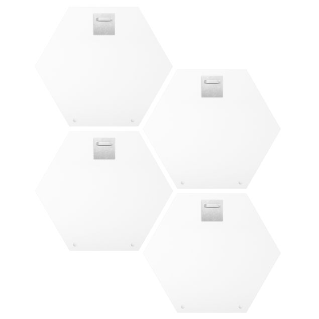 Hexagon Bild Alu-Dibond 4-teilig - Vögel und Beeren Set II
