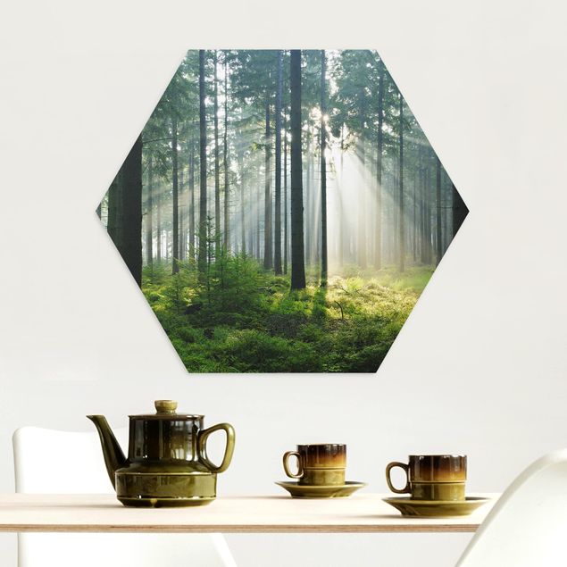 Schöne Wandbilder Enlightened Forest