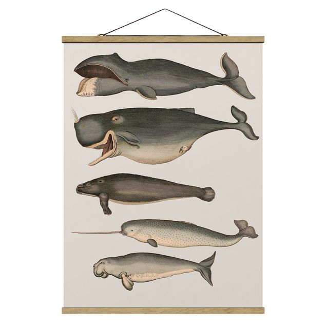 Stoffbild mit Posterleisten - Fünf Vintage Wale - Hochformat 3:4