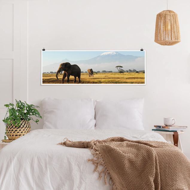 Poster Tiere Elefanten vor dem Kilimanjaro in Kenya