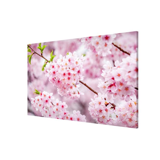 Magnettafel Skyline Japanische Kirschblüten