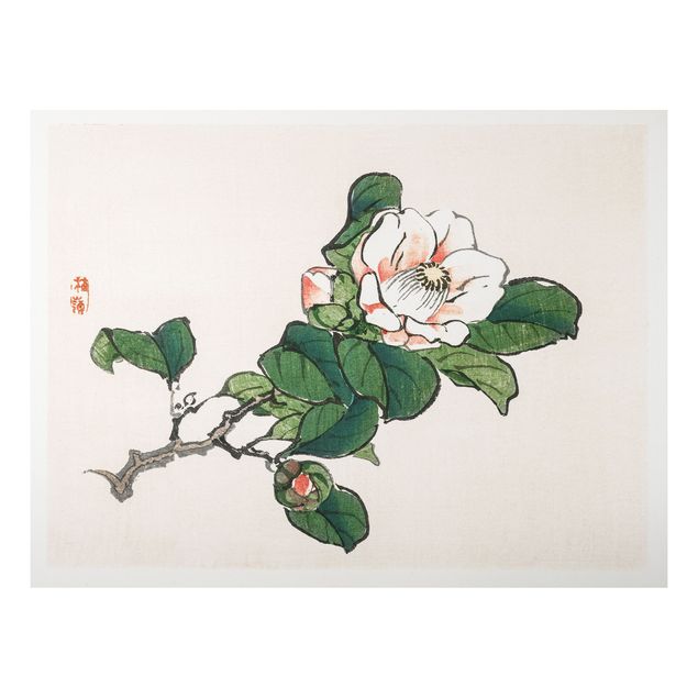 Alu Dibond Bilder Asiatische Vintage Zeichnung Apfelblüte