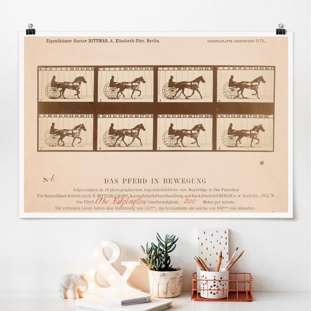 Poster - Eadweard Muybridge - Das Pferd in Bewegung - Querformat 2:3