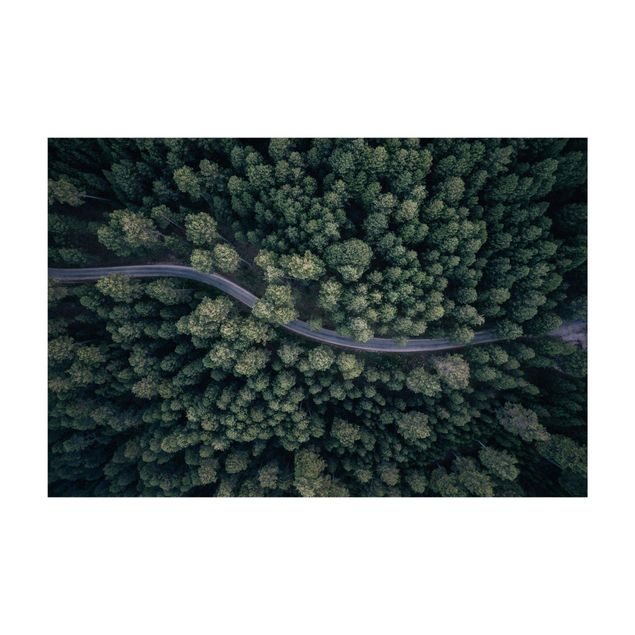 Teppich Wald Luftbild - Waldstraße von Oben