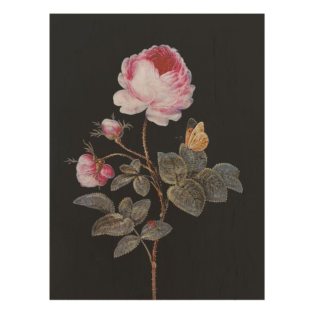 Holzbilder mit Blumen Barbara Regina Dietzsch - Die hundertblättrige Rose