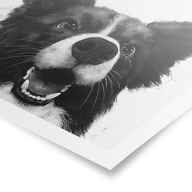 Poster - Illustration Hund Border Collie Schwarz Weiß Malerei - Quadrat 1:1