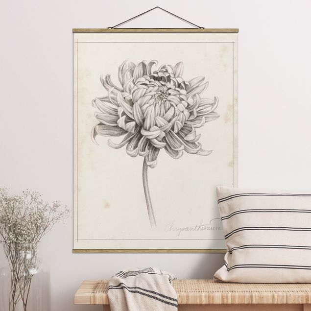 Schöne Wandbilder Botanische Studie Chrysantheme I