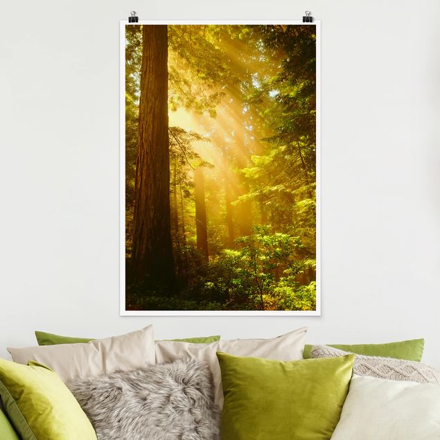 Poster Natur Morgengold
