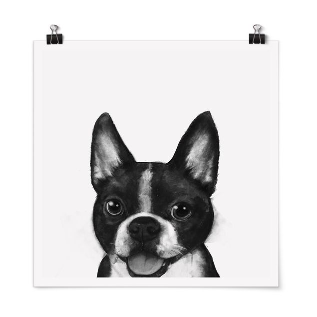 Wandposter Schwarz-Weiß Illustration Hund Boston Schwarz Weiß Malerei