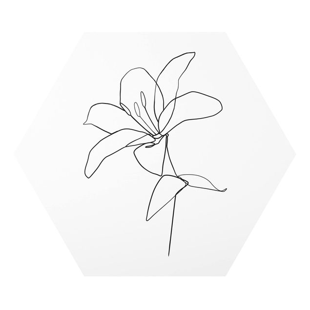 Hexagon Bild Forex - Line Art Blüte Schwarz Weiß