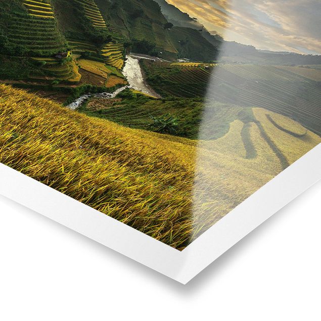 Poster - Reisplantagen in Vietnam - Quadrat 1:1