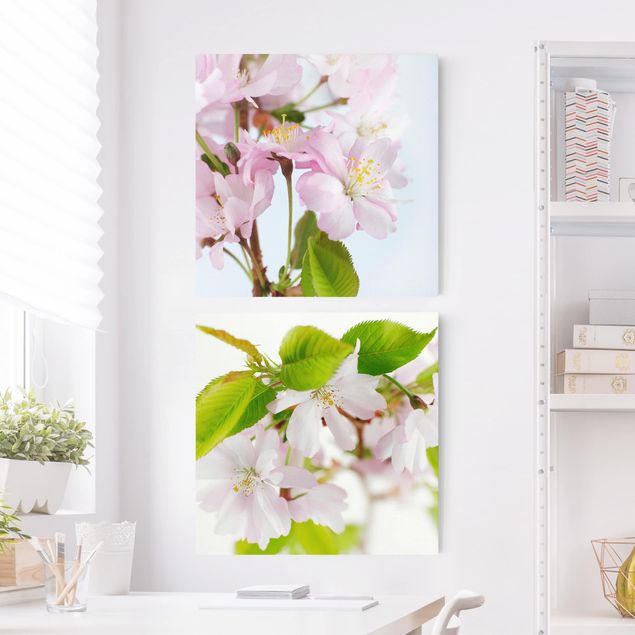 Wandbilder XXL Zierkirsche mit Blüten