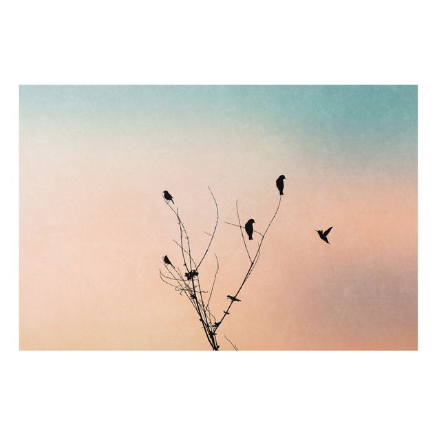 Schöne Wandbilder Vögel vor rosa Sonne II