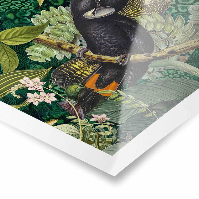 Poster bestellen Bunte Collage - Kakadus im Dschungel