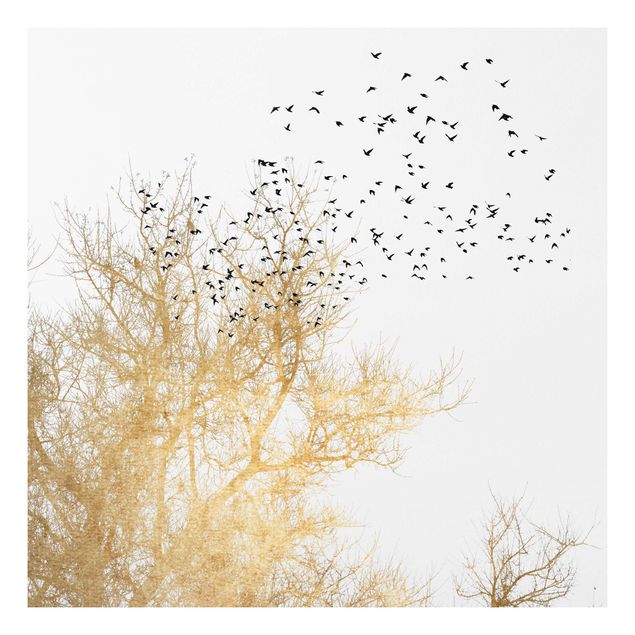 Forex Bilder Vogelschwarm vor goldenem Baum