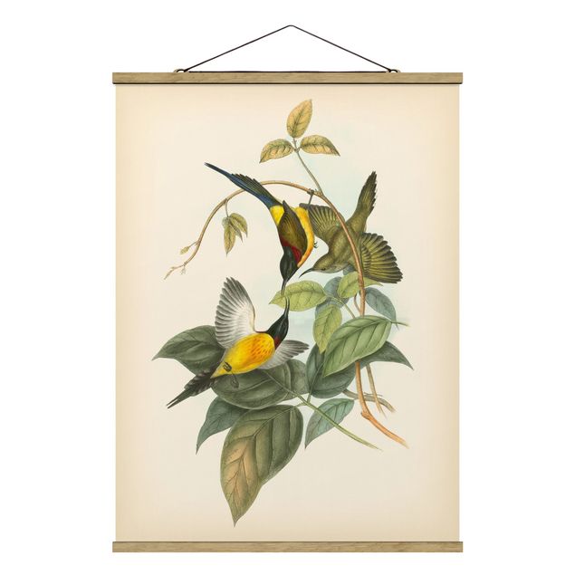 Stoffbild mit Posterleisten - Vintage Illustration Tropische Vögel IV - Hochformat 3:4