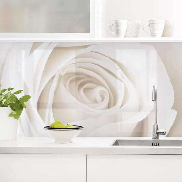 Küchenrückwände Platte Pretty White Rose