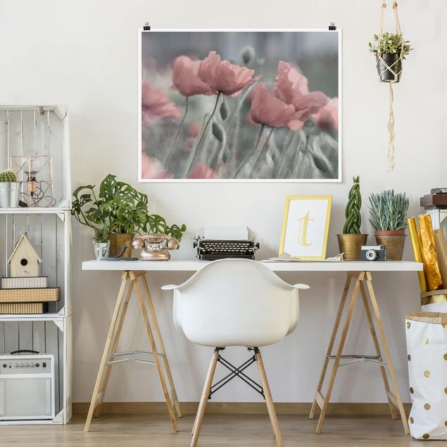 Poster kaufen Malerische Mohnblumen