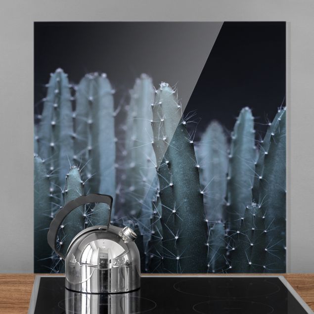 Spritzschutz Glas magnetisch Wüstenkaktus bei Nacht