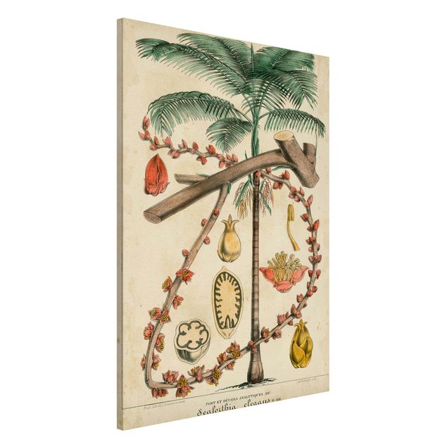 Magnettafel Büro Vintage Lehrtafel Exotische palmen II