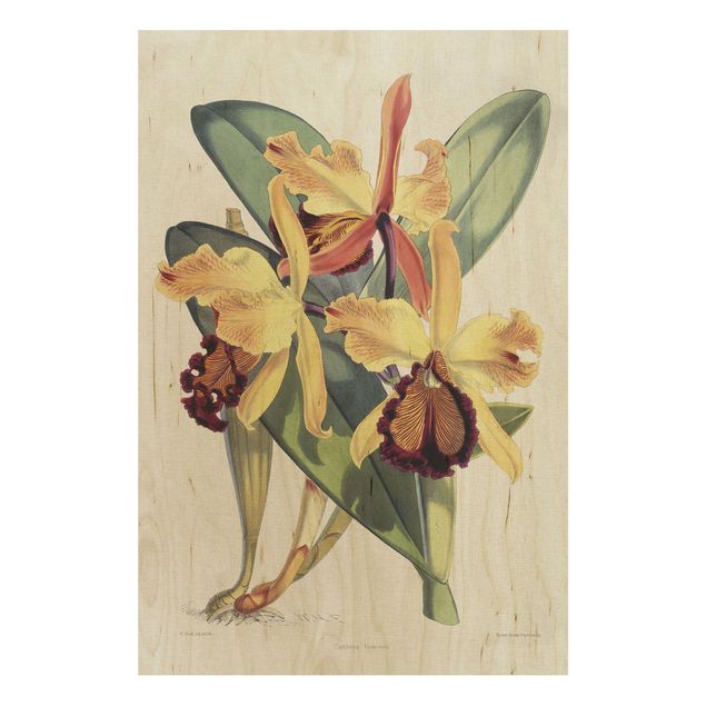 Holzbild Blumen Walter Hood Fitch - Orchidee