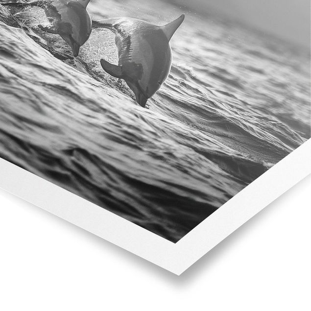 Schöne Wandbilder Zwei springende Delfine