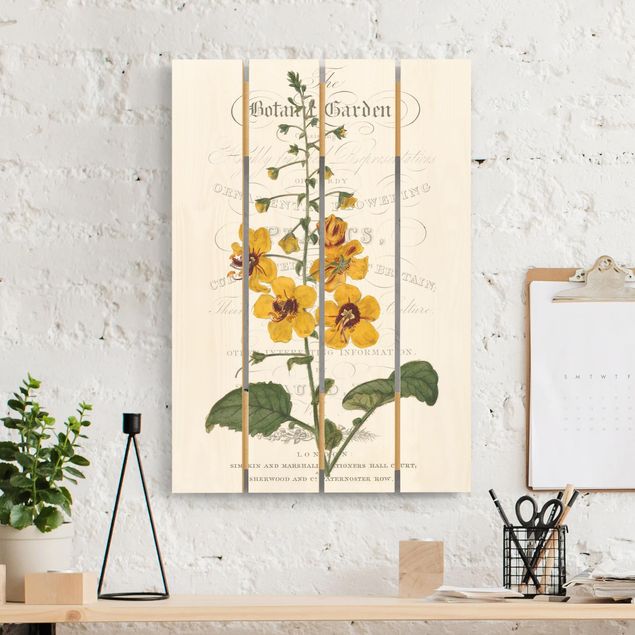 Holzbilder mit Blumen Botanisches Tableau - Königskerze