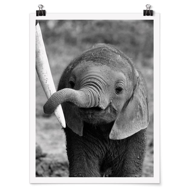 Wandbilder Elefantenbaby