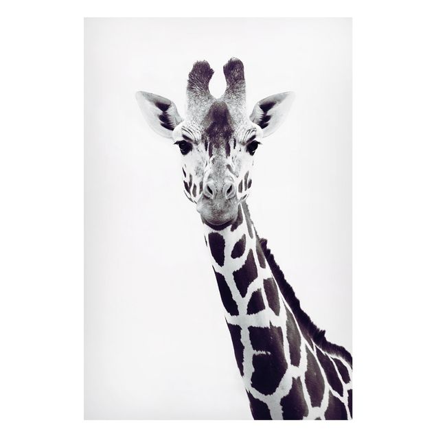 Magnettafel - Giraffen Portrait in Schwarz-weiß - Hochformat 2:3